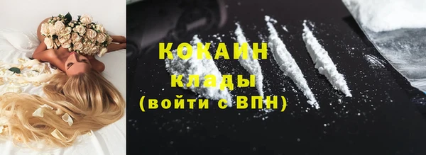 ешки Алексин