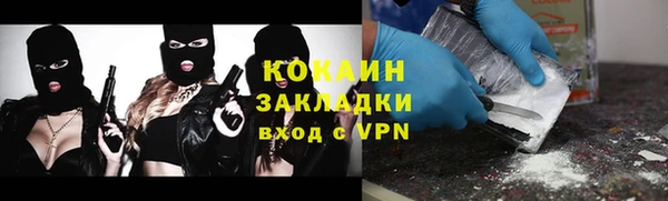 ешки Алексин