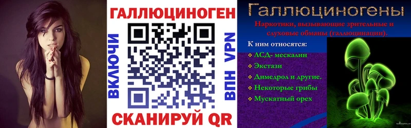 Галлюциногенные грибы Psilocybe  купить  цена  Камызяк 